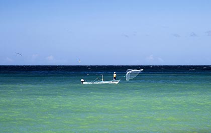 Casting the seine net