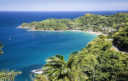 Castara Bay view