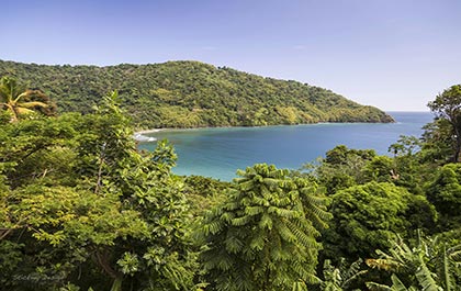 The view from King's Bay Cafe