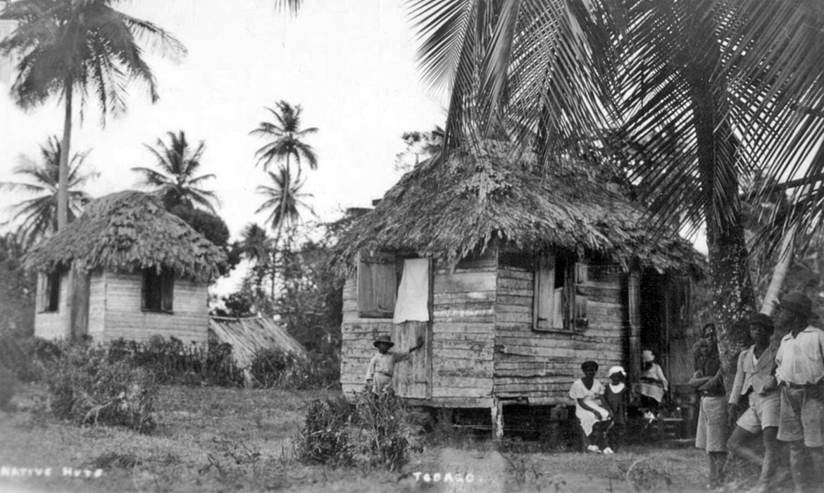 Native huts