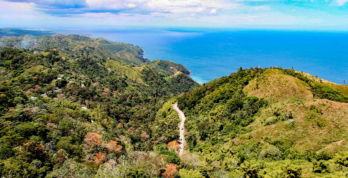 Rainforest views along Tobago's Caribbean coast