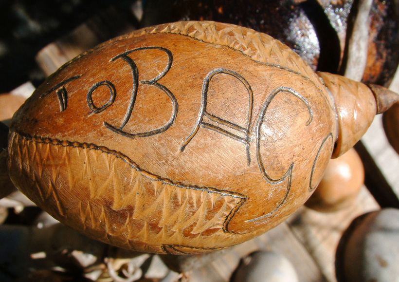Carved coconut souvenir of Tobago