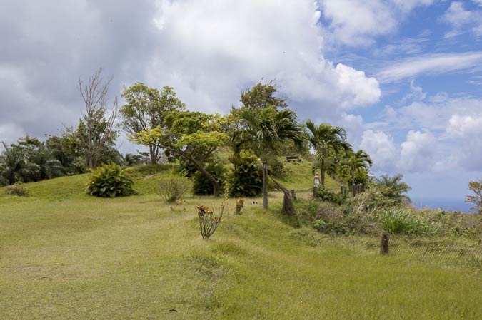 Mount Dillon Lookout, Tobago