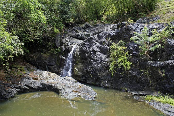 Greenhill Waterfall, Tobago